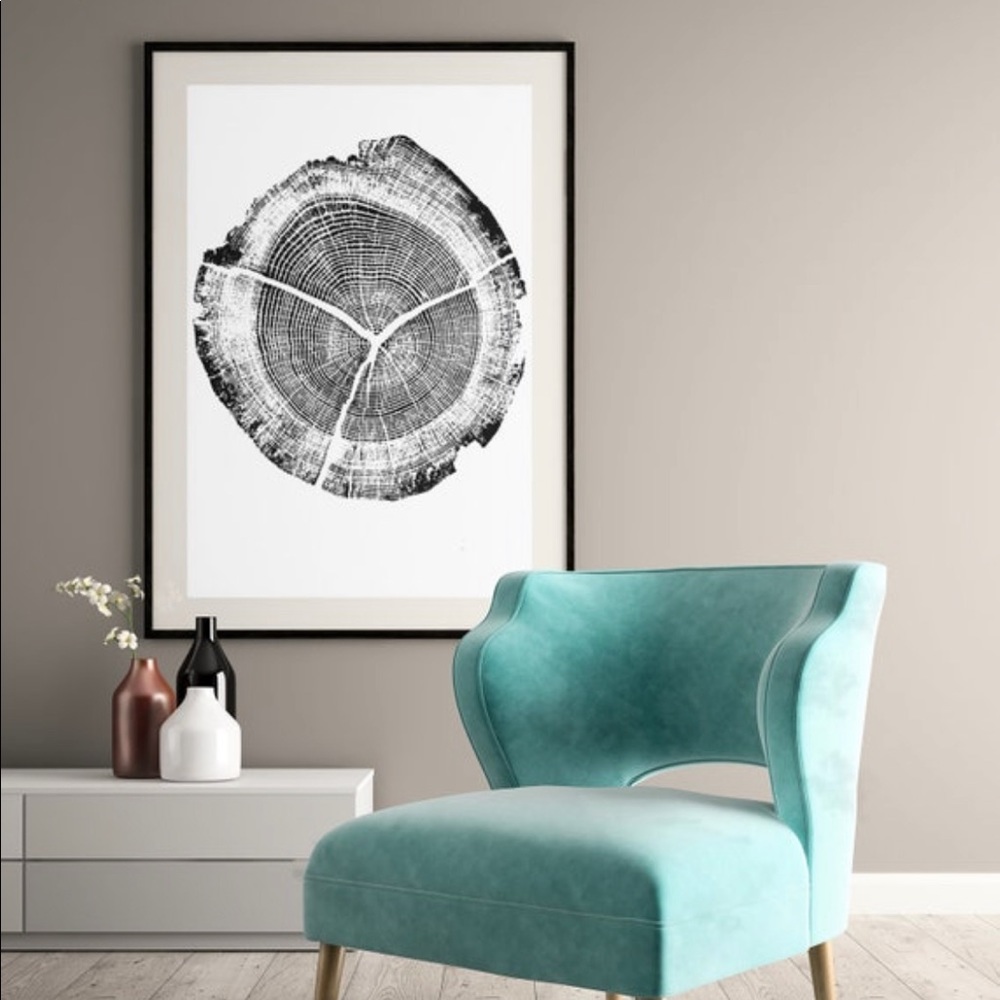Tree Rings Print Photo